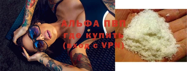 индика Богородск