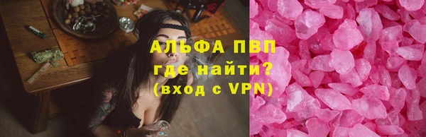индика Богородск