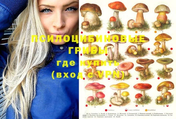 индика Богородск