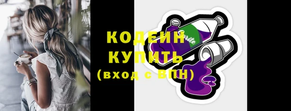 индика Богородск