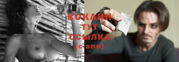 индика Богородск