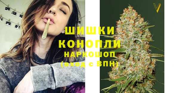 индика Богородск