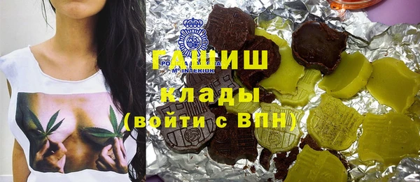 индика Богородск