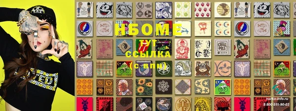 индика Богородск