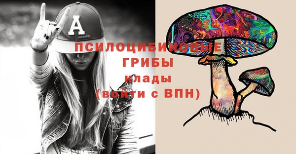 эйфоретик Богородицк