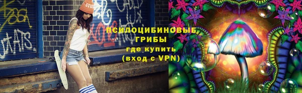 индика Богородск