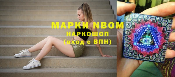 индика Богородск
