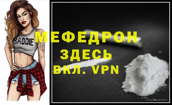 индика Богородск