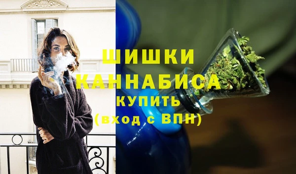 индика Богородск