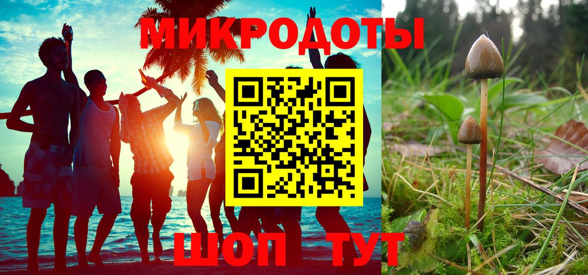 КОКАИН Балтийск