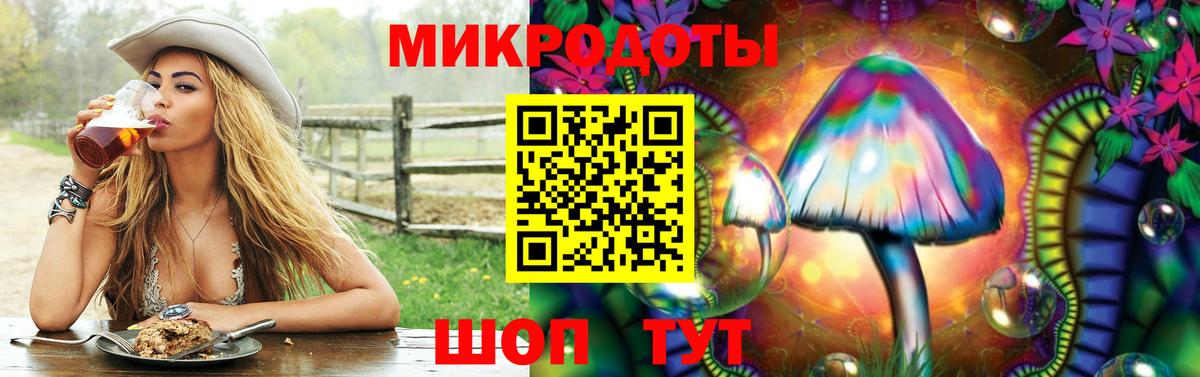 как найти закладки  Галлюциногенные грибы GOLDEN TEACHER  Вход с VPN  Балтийск 