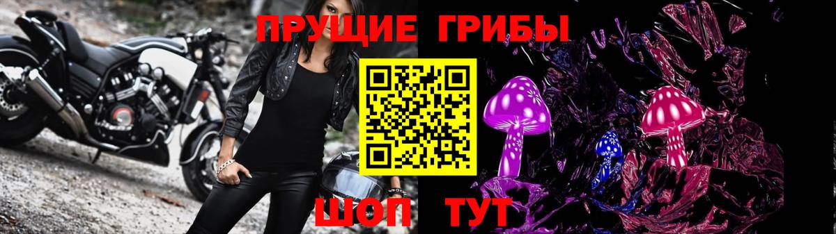 Галлюциногенные грибы Magic Shrooms Балтийск